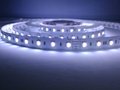 SMD 2835 LED Strip Light - Cool White 6500K 120LED/m